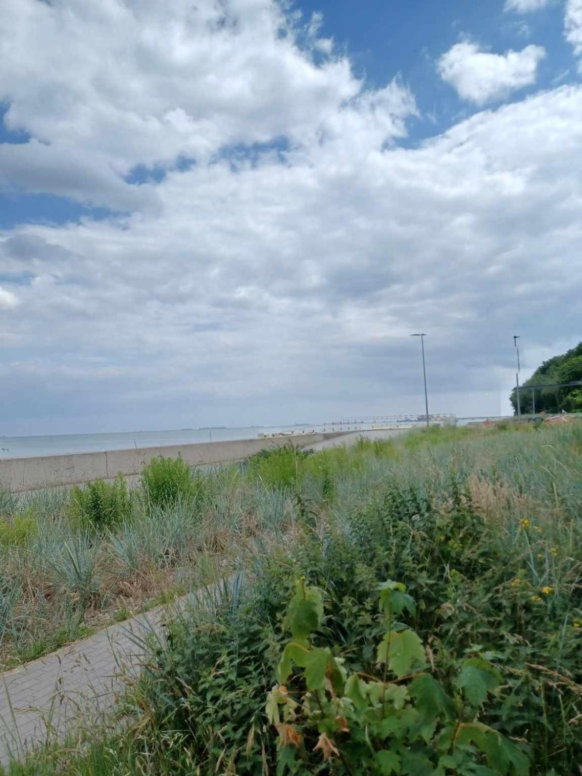 Domek Holenderski, Ogrod, Blisko Plazy, Gdynia Wakacje Na Luzie Esterno foto